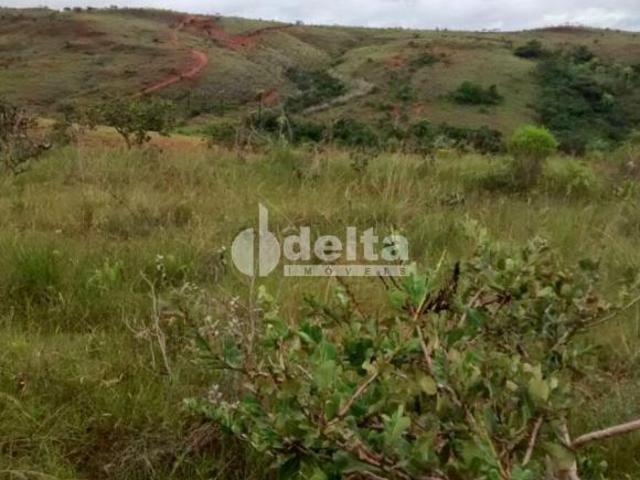 Sítio e chácara venda em Setor Norte, Uberlândia