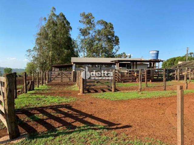 Sítio e chácara venda em Região Geográfica Imediata de Uberlândia, Oliveira Fortes