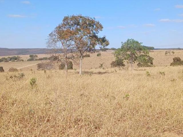 Sítio e chácara venda em Região Geográfica Imediata de Luziânia, Região Integrada de Desenvolvimento do Distrito Federal e Entorno