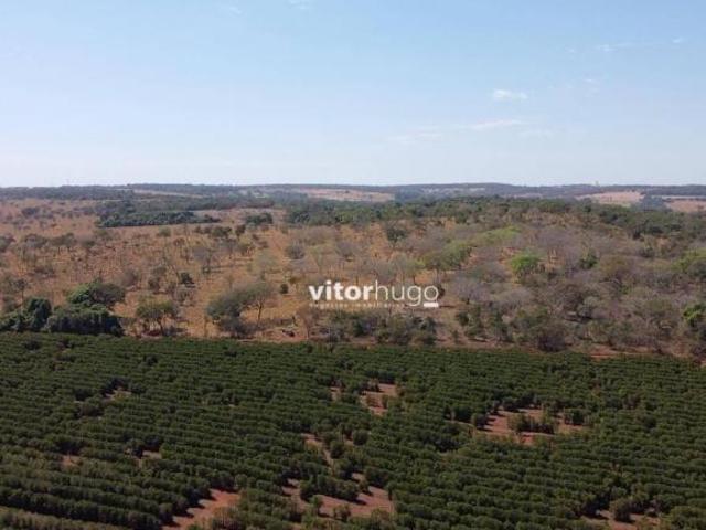 Sítio e chácara venda em Região Geográfica Imediata de Uberlândia, Oliveira Fortes