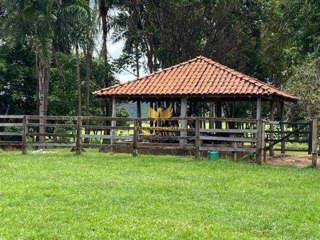 Sítio e chácara venda em Região Imediata de Dracena, Dracena