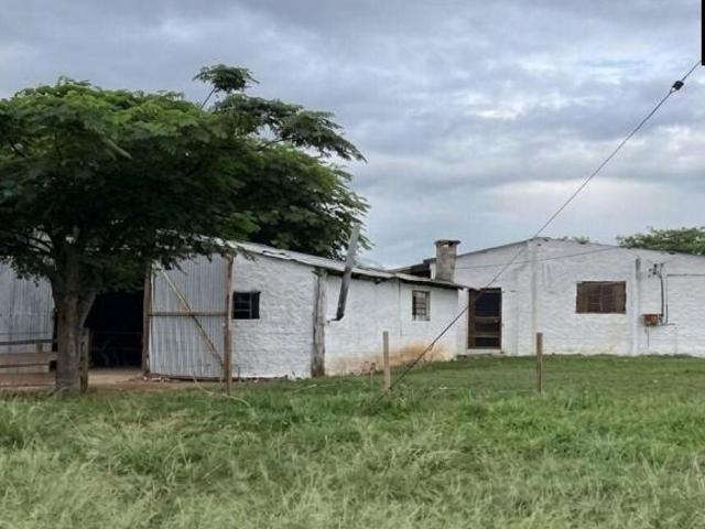 Sítio e chácara venda em Região Geográfica Imediata de Santana do Livramento, Santana do Livramento