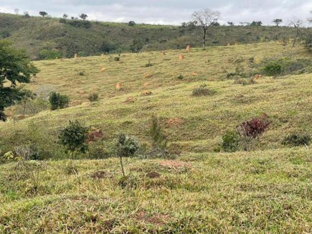 Sítio e chácara venda em Região Geográfica Imediata de Piumhi, Jerumenha