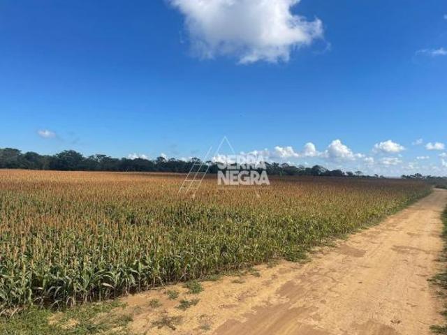 Sítio e chácara venda em Região Geográfica Imediata de Luziânia, Região Integrada de Desenvolvimento do Distrito Federal e Entorno