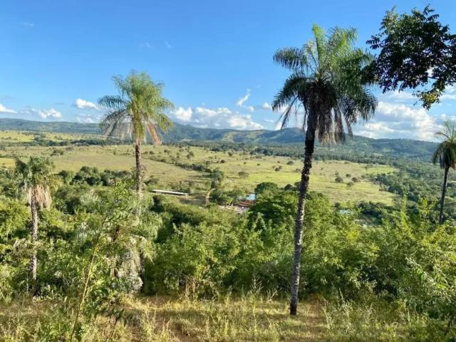 Fazenda venda em Região Geográfica Imediata de Anápolis, Região Integrada de Desenvolvimento do Distrito Federal e Entorno