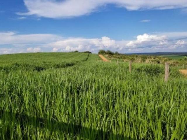 Sítio e chácara venda em Região Geográfica Imediata de Cuiabá, Nobres