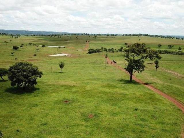 Sítio e chácara venda em Região Geográfica Imediata de Água Boa, Campinápolis