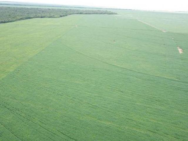 Sítio e chácara venda em Região Geográfica Imediata de Água Boa, Canarana