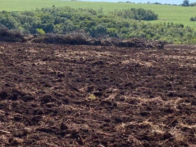 Sítio e chácara venda em Região Geográfica Imediata de Dourados, Maracaju