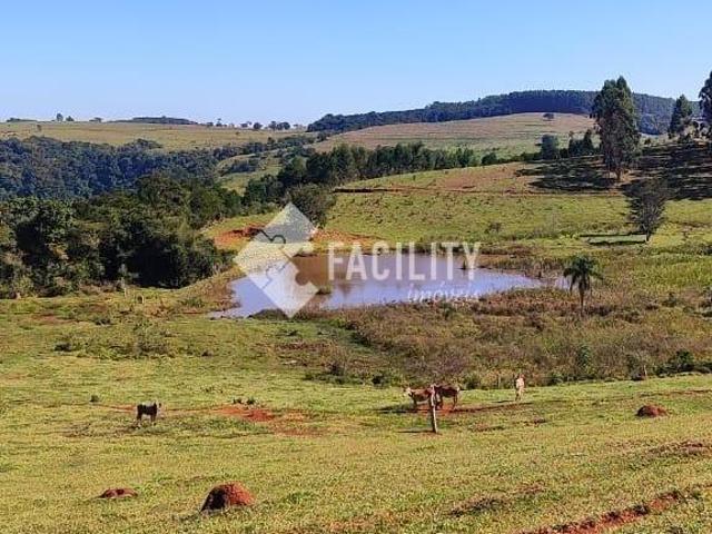 Sítio e chácara venda em Alto Pardinho, Pardinho