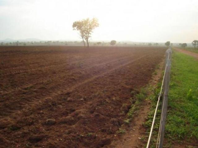 Sítio e chácara venda em Região Geográfica Imediata de Cáceres, Antônio João