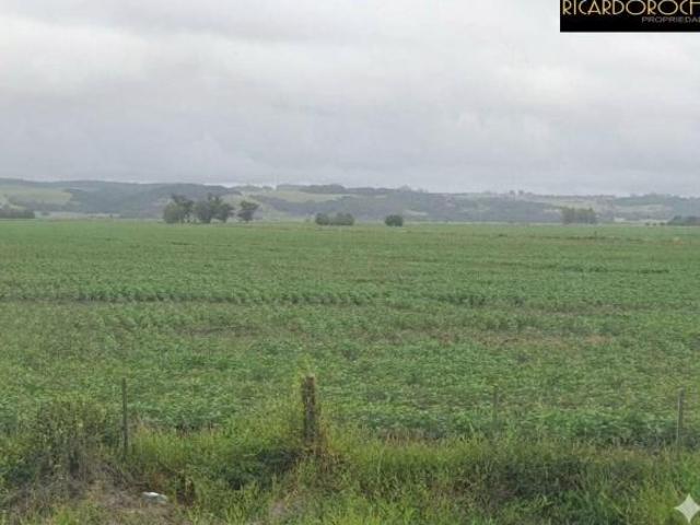 Sítio e chácara venda em Santa Rosa, Capivari do Sul