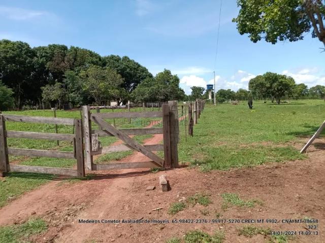 Fazenda venda em Região Geográfica Imediata de Cuiabá, Região Metropolitana do Vale do Rio Cuiabá