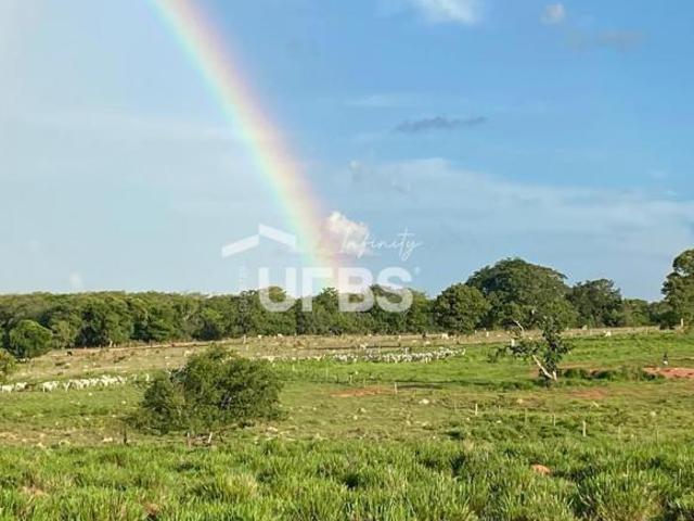 Ponto Comercial venda em Região Geográfica Imediata de Iporá, Bom Jardim de Goiás