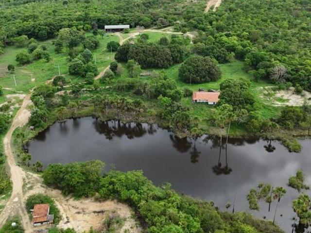 Sítio e chácara venda em Região Geográfica Imediata de Pirapora, Buritizeiro