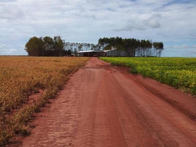 Sítio e chácara venda em Região Geográfica Imediata de Primavera do Leste, Paranatinga