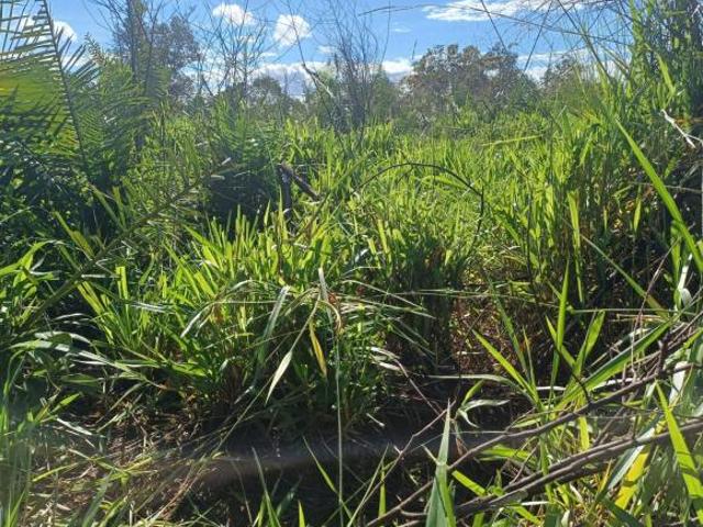 Sítio e chácara venda em Região Geográfica Imediata de Uruaçu - Niquelândia, Colinas do Sul
