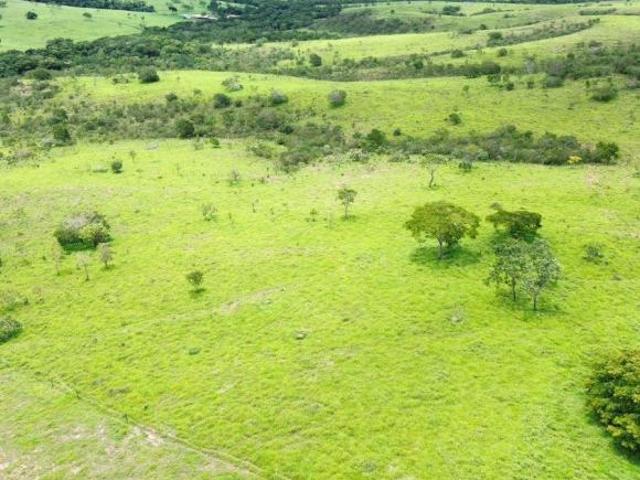 Sítio e chácara venda em Região Geográfica Imediata de Luziânia, Região Integrada de Desenvolvimento do Distrito Federal e Entorno