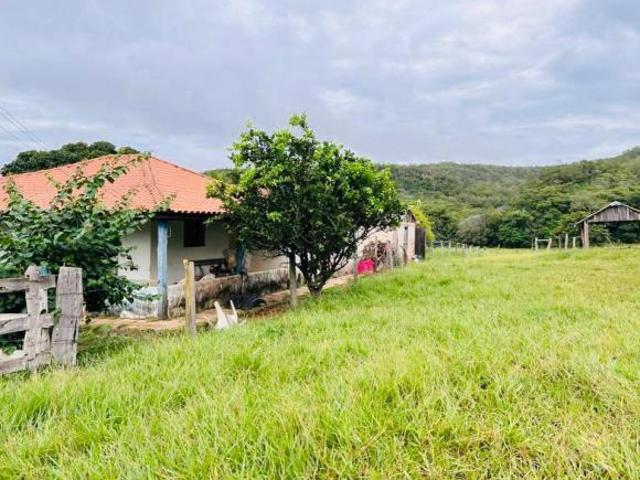 Sítio e chácara venda em Região Geográfica Imediata de Coxim, Rio Verde de Mato Grosso