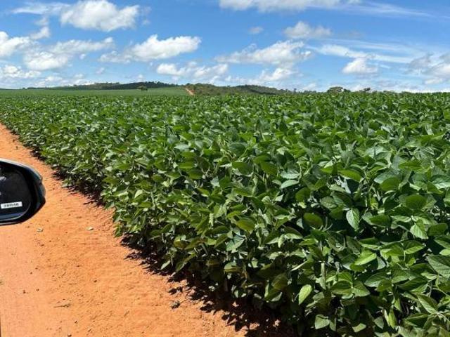 Sítio e chácara venda em Região Geográfica Imediata de Anápolis, Região Integrada de Desenvolvimento do Distrito Federal e Entorno
