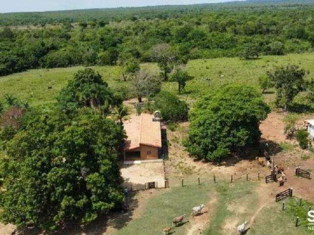Sítio e chácara venda em Palminópolis, Região Geográfica Intermediária de São Luís de Montes Belos-Iporá
