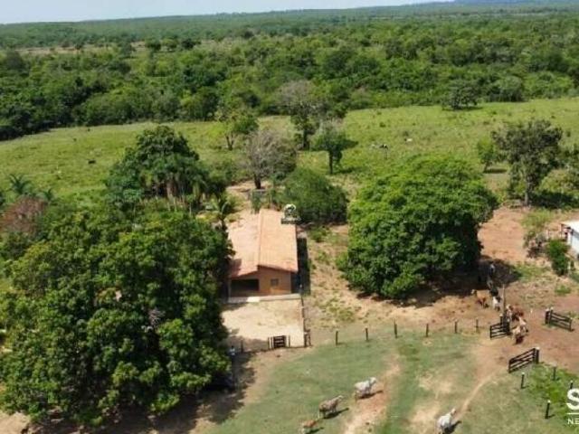 Sítio e chácara venda em Região Geográfica Imediata de Palmeiras de Goiás, Palminópolis