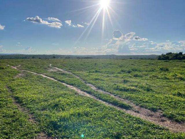 Sítio e chácara venda em Região Geográfica Imediata de Rondonópolis, Tesouro