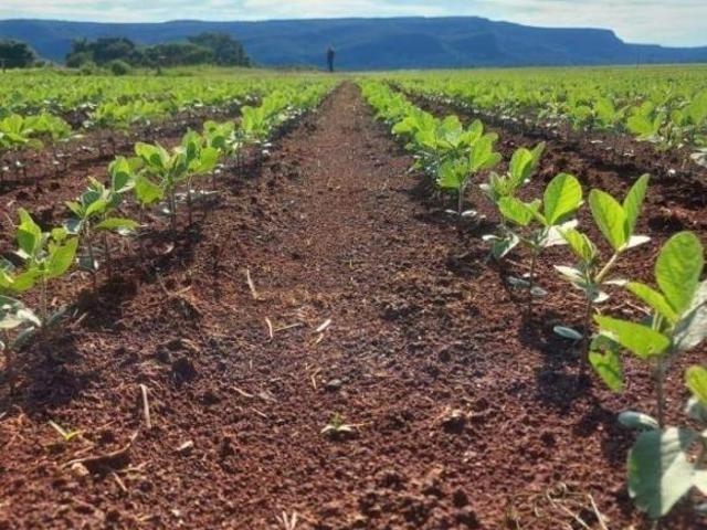 Sítio e chácara venda em Região Geográfica Imediata de Pontes e Lacerda - Comodoro, Vila Bela da Santíssima Trindade
