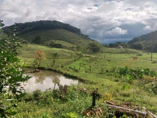 Sítio e chácara venda em Sete Barras