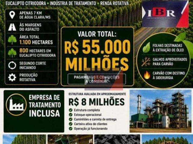 Sítio e chácara venda em Jardim Aeroporto, Água Clara