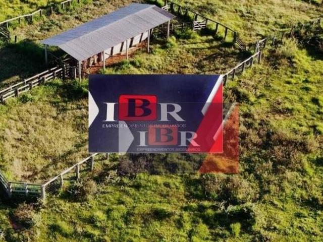 Sítio e chácara venda em Água Clara