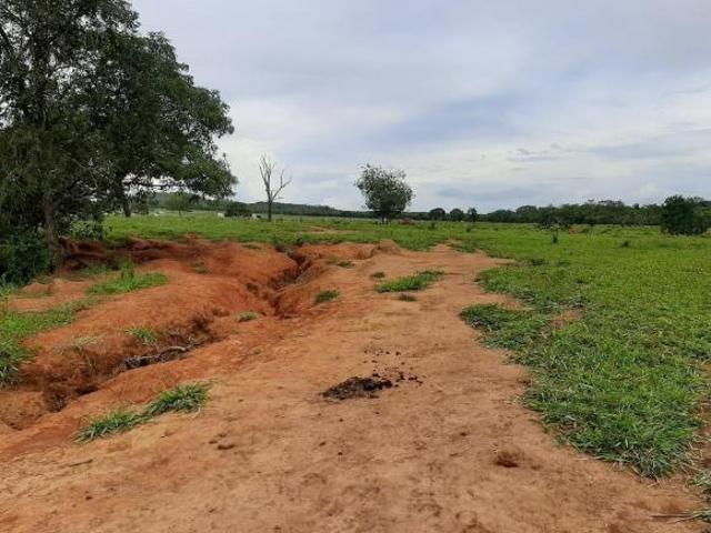 Sítio e chácara venda em Região Geográfica Imediata de Flores de Goiás, Região Integrada de Desenvolvimento do Distrito Federal e Entorno