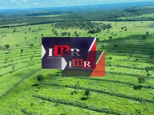 Sítio e chácara venda em Região Geográfica Imediata de Coxim, Alcinópolis
