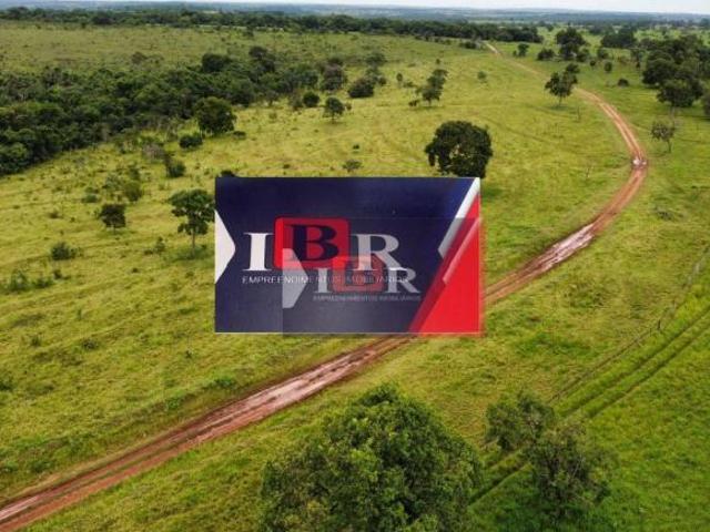 Sítio e chácara venda em Região Geográfica Imediata de Coxim, Alcinópolis
