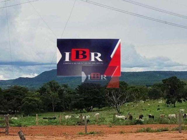 Sítio e chácara venda em Região Geográfica Imediata de Rondonópolis, Alto Araguaia