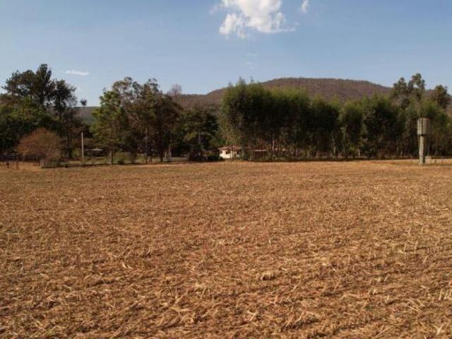 Sítio e chácara venda em Região Geográfica Imediata de Flores de Goiás, Alto Paraíso de Goiás