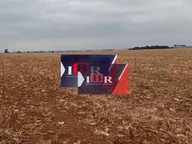 Sítio e chácara venda em Amambai