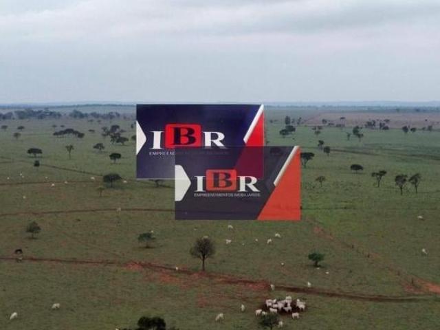 Sítio e chácara venda em Amambai