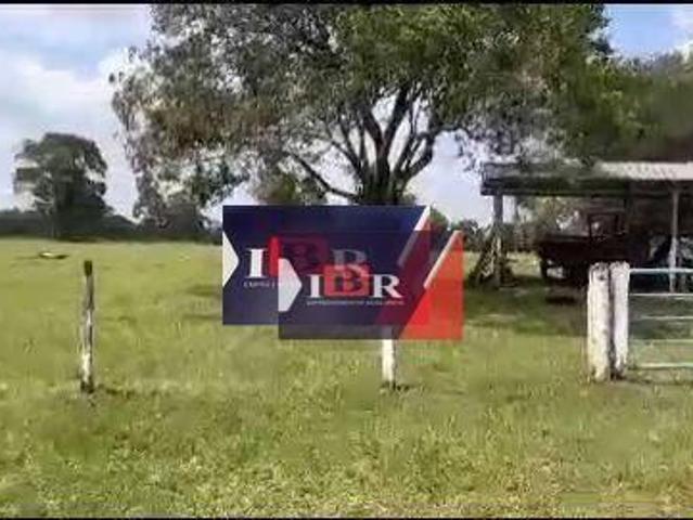 Sítio e chácara venda em Amambai