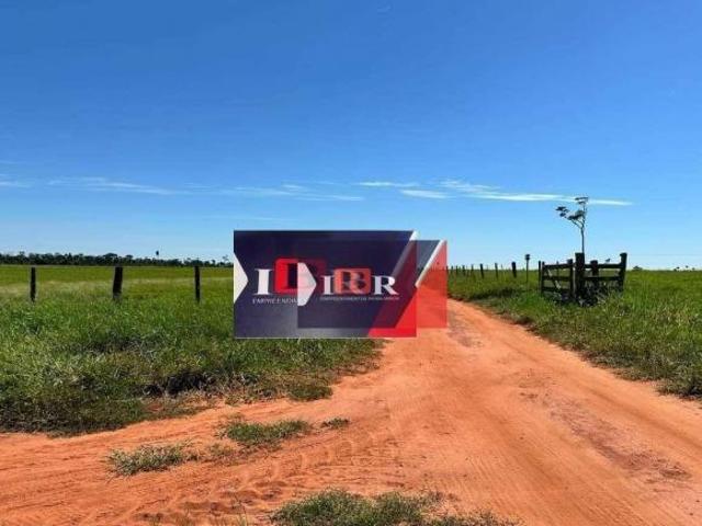 Sítio e chácara venda em Anaurilândia, Mato Grosso do Sul