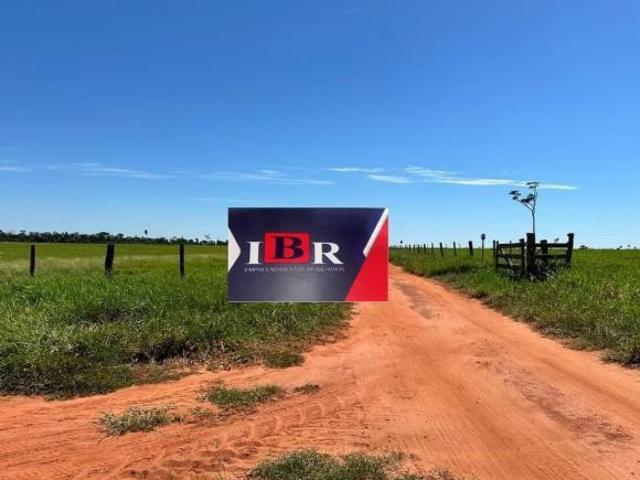 Sítio e chácara venda em Anaurilândia, Mato Grosso do Sul