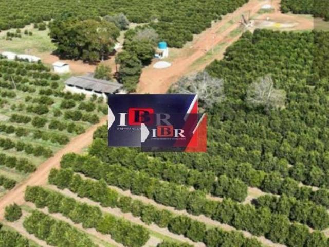 Sítio e chácara venda em Bom Retiro da Esperança, Angatuba