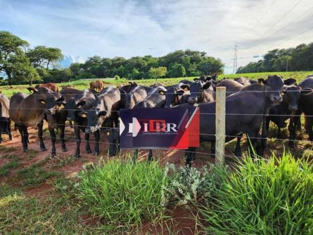 Sítio e chácara venda em Região Geográfica Imediata de Paranaíba - Chapadão do Sul - Cassilândia, Aparecida do Taboado
