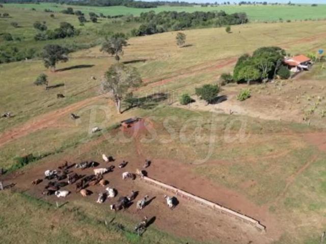 Sítio e chácara venda em Região Geográfica Imediata de Paranaíba - Chapadão do Sul - Cassilândia, Aparecida do Taboado
