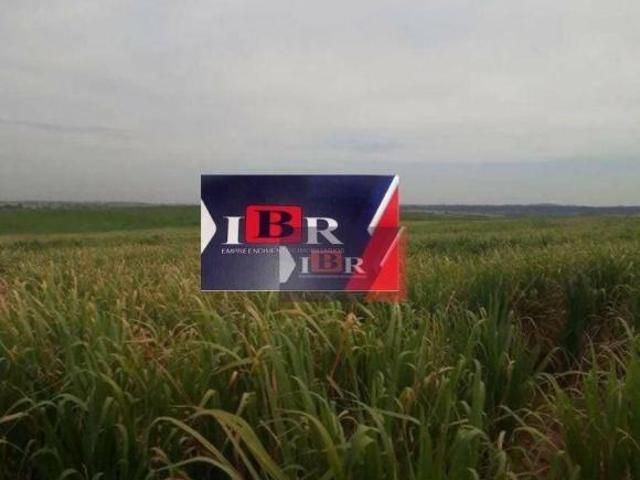 Sítio e chácara venda em Região Imediata de Araçatuba, Araçatuba