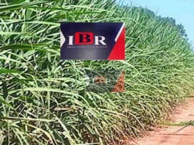 Sítio e chácara venda em Região Imediata de Araçatuba, Araçatuba