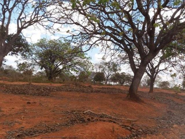 Sítio e chácara venda em Araçaí, Região Geográfica Intermediária de Belo Horizonte