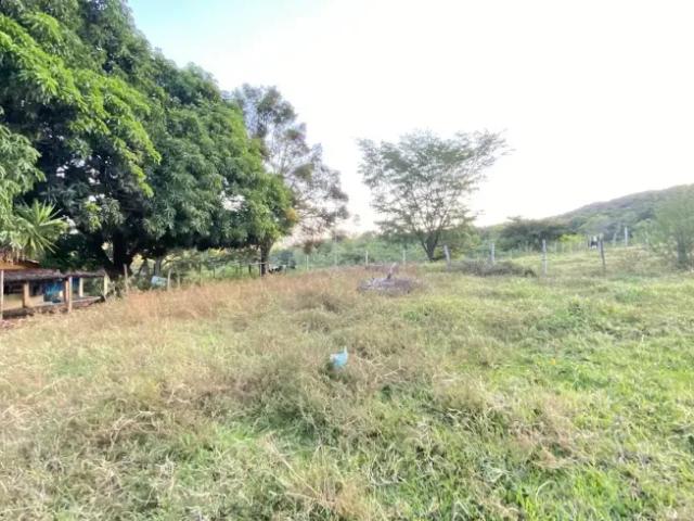 Fazenda venda em Região Geográfica Imediata de Goiânia, Aragoiânia