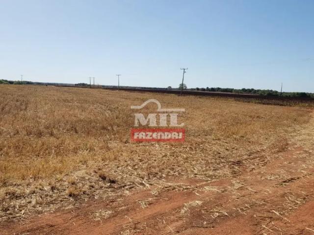 Fazenda venda em Região Geográfica Imediata de Gurupi, Araguaçu