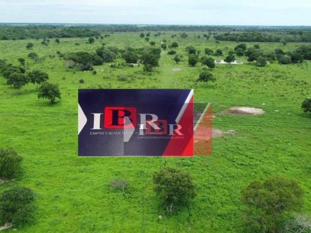 Sítio e chácara venda em Região Geográfica Imediata de Barra do Garças, Araguaiana